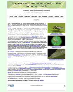 Schermata ukflymines.co.uk