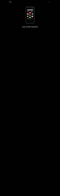 Snímek obrazovky palm.com