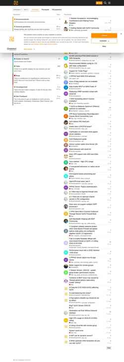 Zrzut ekranu forum.vyos.io