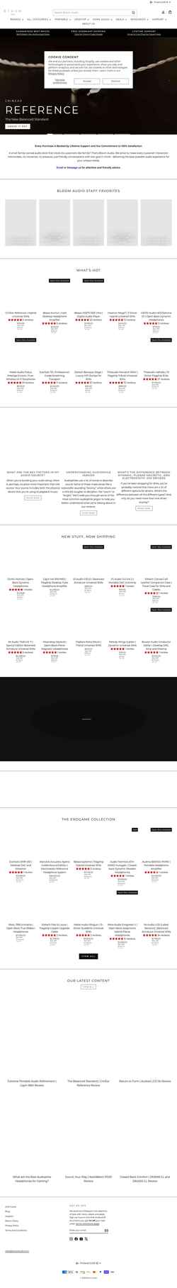 Zrzut ekranu bloomaudio.com