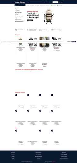 Screenshot tandiry.com