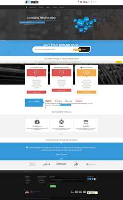Screenshot domainregister.international