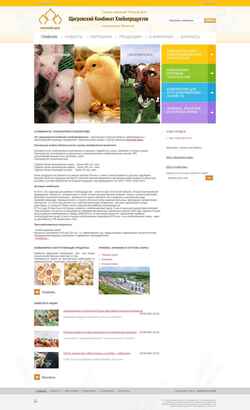 Screenshot shkhp.ru