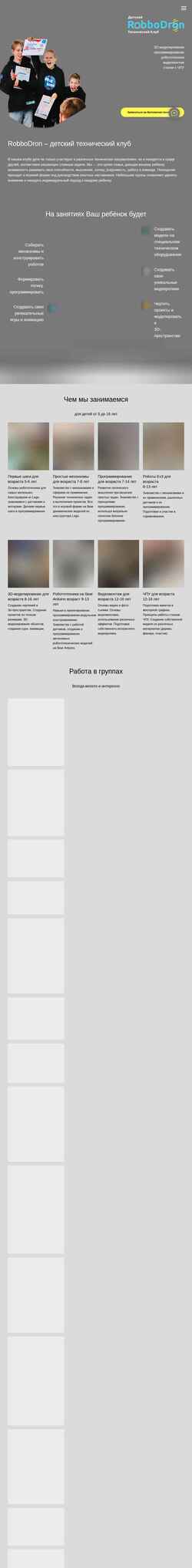 Screenshot robbodron.ru