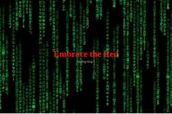 Screenshot embracethered.com