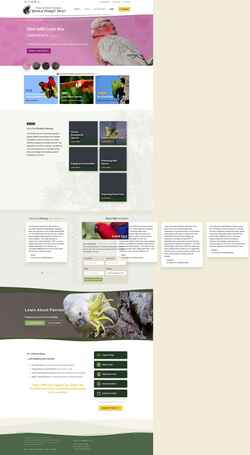 截屏 parrots.org