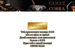 Captură de ecran im-cobra.com