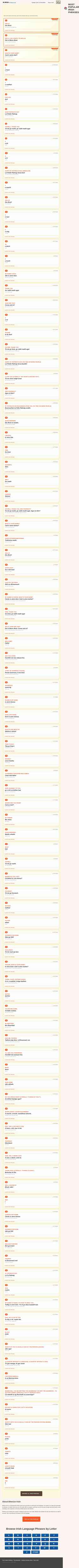 Screenshot inirish.bitesize.irish