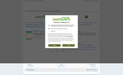 Screenshot zip-codes.nonsolocap.it