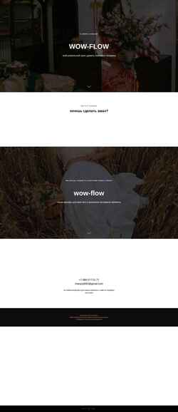 Schermata wow-flow.ru