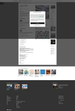 Screenshot stevegunn.bandcamp.com