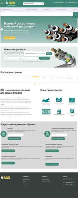 Snímek obrazovky n-b2b.ru