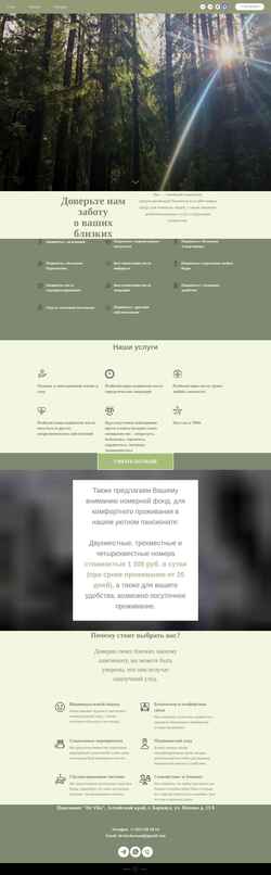 Screenshot devitabarnaul.ru