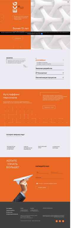 Schermata endi-consulting.com