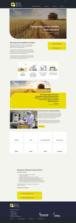 Captura de tela qes-enzymesolutions.com