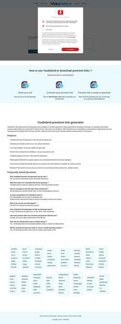 Schermata youdebrid.com